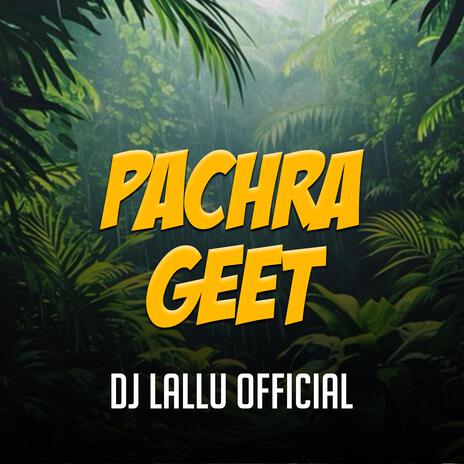 Pachra Geet Dj | Boomplay Music