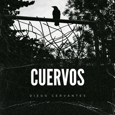 Cuervos | Boomplay Music