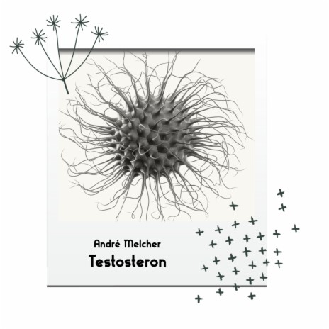 Testosteron