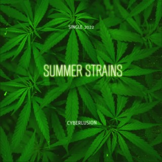 Summer Strains