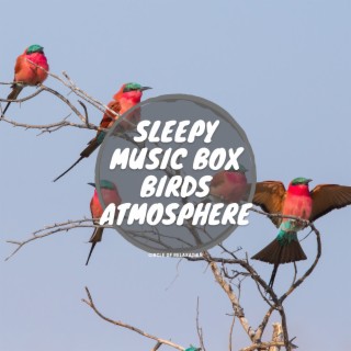 Sleepy Music Box Birds Atmosphere