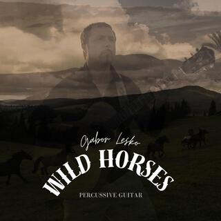 Wild Horses (Percussive Guitar Version)