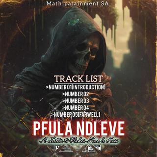 Pfula ti ndleve TlakesMan_Number 01