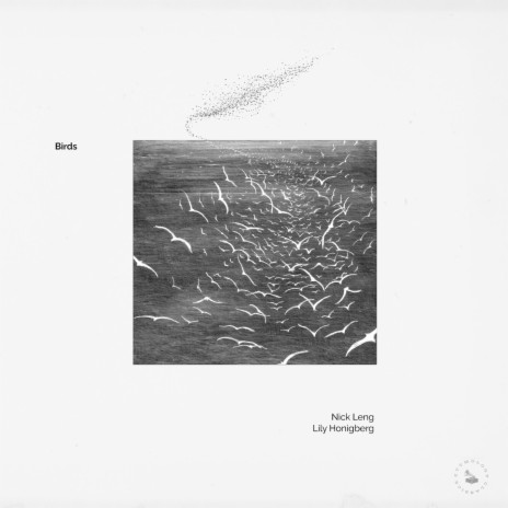 Birds ft. Lily Honigberg | Boomplay Music