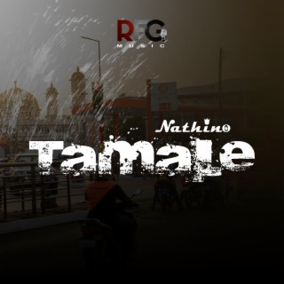 Tamale lyrics | Boomplay Music