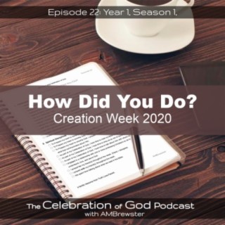 Episode 22: How Did You Do? | Creation Week 2020