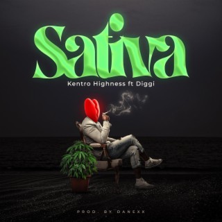 Sativa ft. Diggi lyrics | Boomplay Music