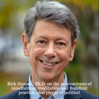 Rick Hanson, Ph.D. on the neuroscience of mindfulness, meditation and Buddhist practice, plus plenty of politics!