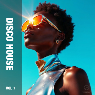 Disco House Vol 7