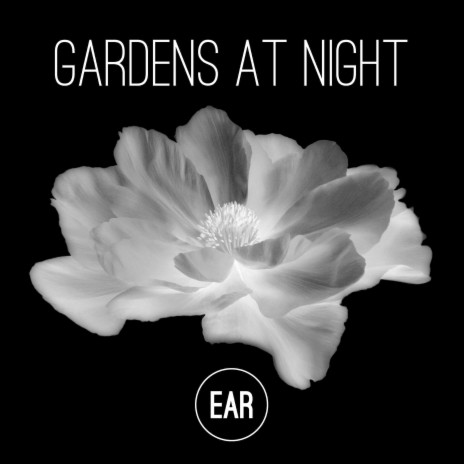 The Gardens at Night | Boomplay Music