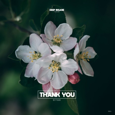 Thank You (Original Mix) | Boomplay Music
