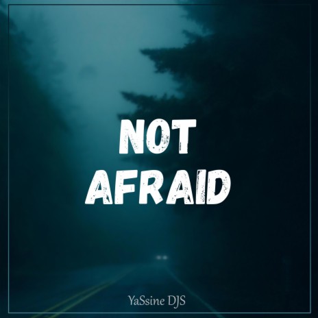 Not Afraid | Boomplay Music