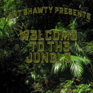 Welcome To The Jungle