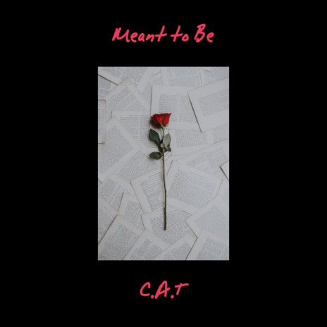 Meant to Be | Boomplay Music