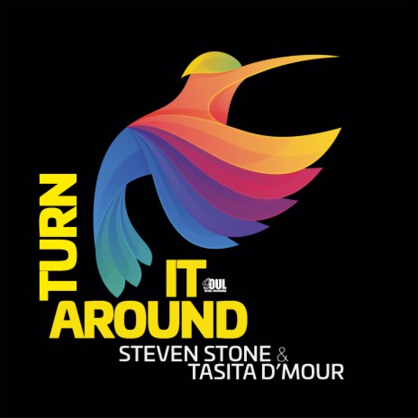 Turn It Around (Radio Mix) ft. Tasita D'Mour | Boomplay Music