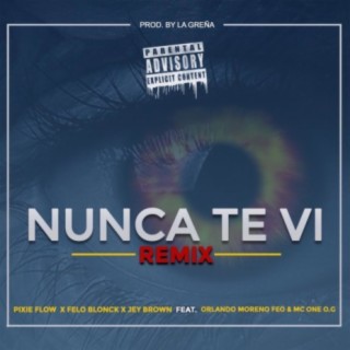 Nunca Te Vi (feat. Orlando Moreno Feo & MC One O.G) (Remix)