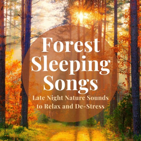 Forest Sleeping Songs | Boomplay Music