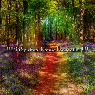 ! ! ! ! 28 Spiritual Nature Foundation ! ! ! !