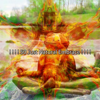 ! ! ! ! 50 Just Natural Embrace ! ! ! !