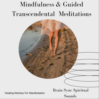 Mindfulness And Guided Transcendental Meditations 432hz Healing Mantras For Manifestation