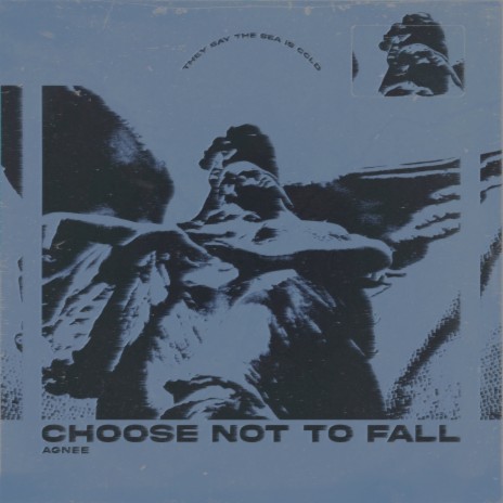 Choose Not to Fall | Boomplay Music