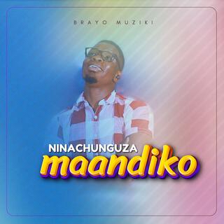 Ninachunguza Maandiko