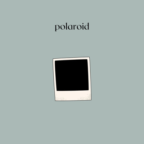 Polaroid | Boomplay Music