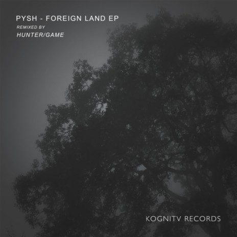 Foreign Land (Original Mix)