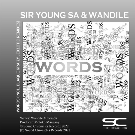 Words (Exzotic Late Shift Remix) ft. Wandile