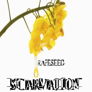 Rapeseed