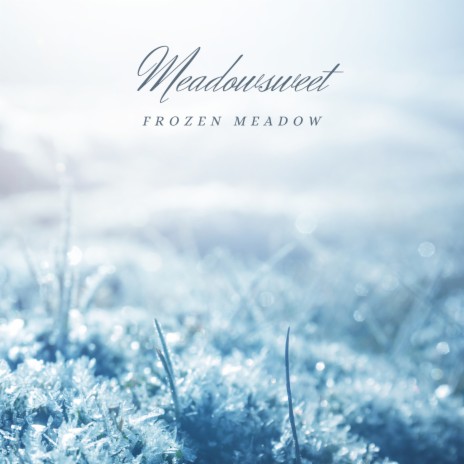 Frozen Meadow | Boomplay Music