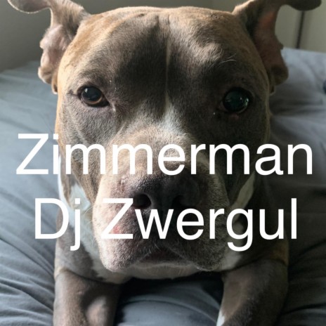 Zimmerman | Boomplay Music