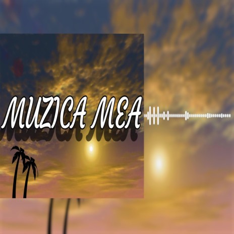 Muzica mea ft. NDG | Boomplay Music