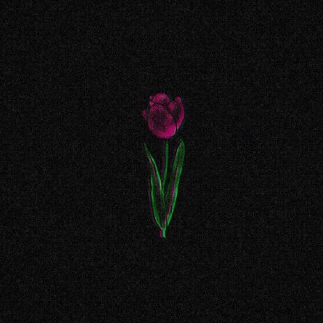 My Tulip | Boomplay Music