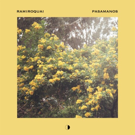 Pasamanos (Original Mix) | Boomplay Music