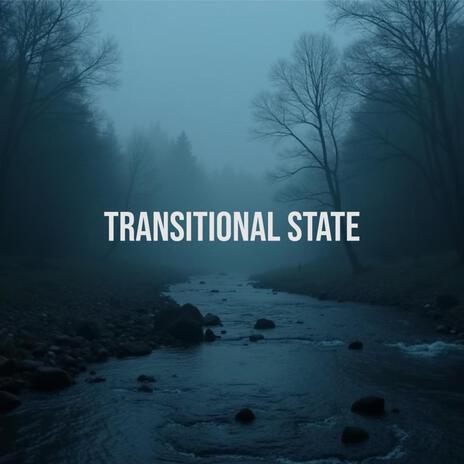 Transitional State