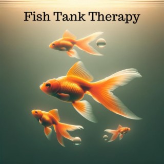 Fish Tank Therapy: Music to Keep Your Fish Calm and Happy