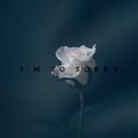 I'M SO SORRY (Radio Edit)