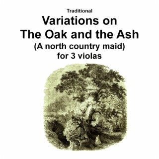 Variations on The Oak and the Ash (A north country maid) for viola trio