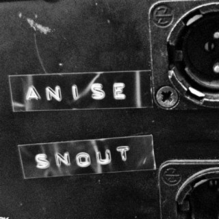 Anise Snout