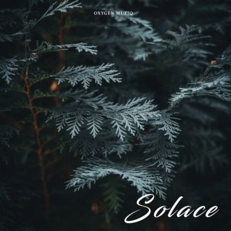 Solace (Instrumental)