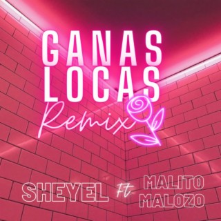 Ganas Locas (Remix) ft. Malito Malozo lyrics | Boomplay Music