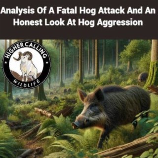 Analysis Of A Fatal Feral Hog Attack