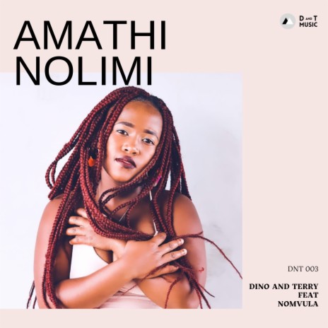 Amathi Nolimi ft. nomvula sa | Boomplay Music