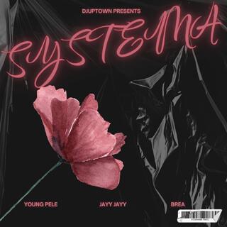 Systema