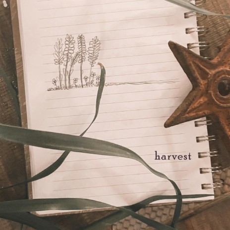 Harvest | Boomplay Music