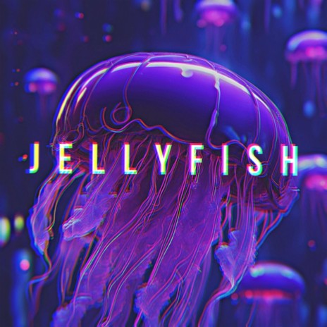 Jellyfish