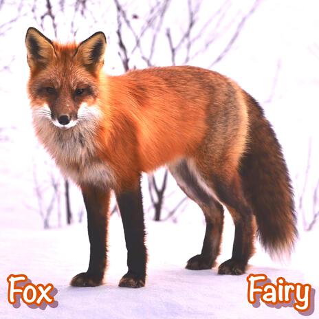 Fox | Boomplay Music