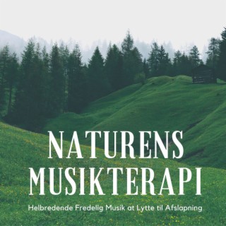 Naturens Musikterapi: Helbredende Fredelig Musik at Lytte til Afslapning