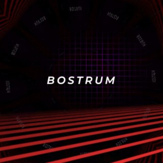 Bostrum